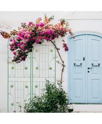 Metal Garden Trellis Climbing Plant Support