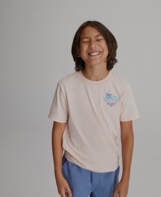 Levis Big Boys Scenic Summer Tee and Skinny Fit Dobby Shorts