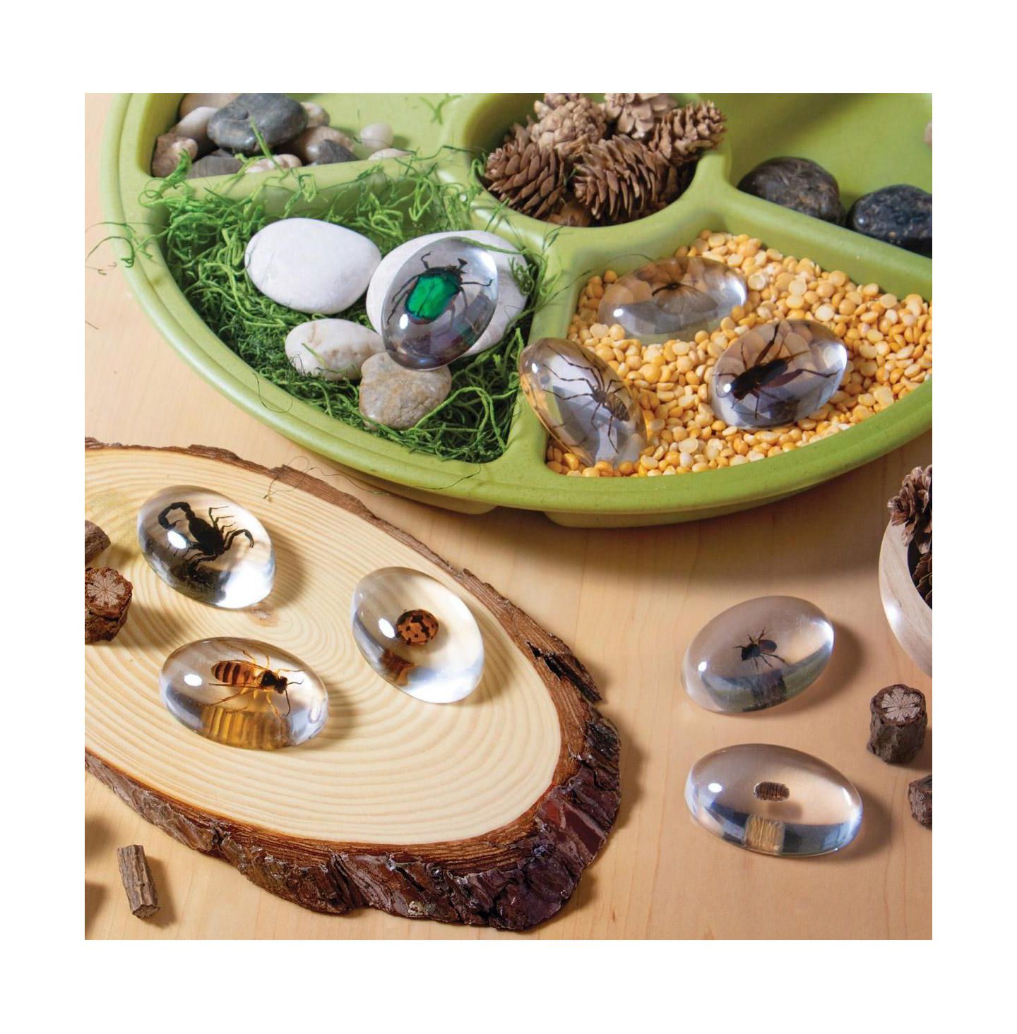 Детские игрушки Kaplan Early Learning Specimen Stones: Bugs, цвет: Разноцветный — фото 6