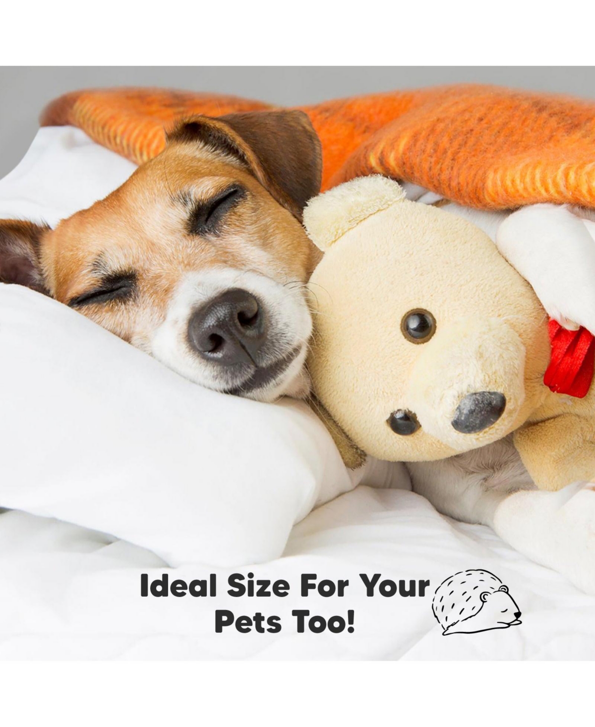 KeaBabies 2pk Toddler Pillow, Soft Organic Cotton Toddler Pillows for Sleeping, 13X18 Kids Pillow -bruce