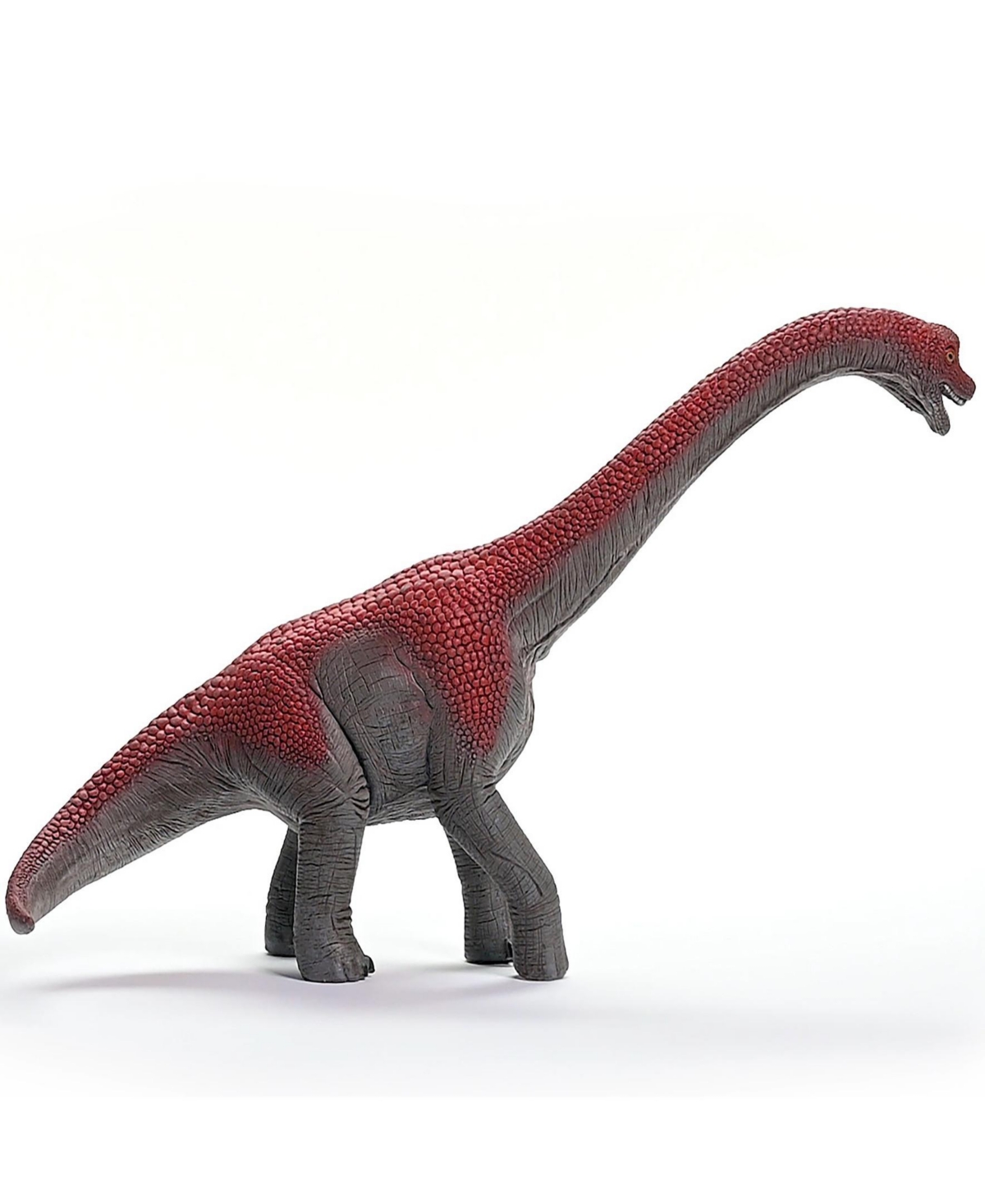 Schleich Dinosaurs Brachiosaurus Action Figure In Multi