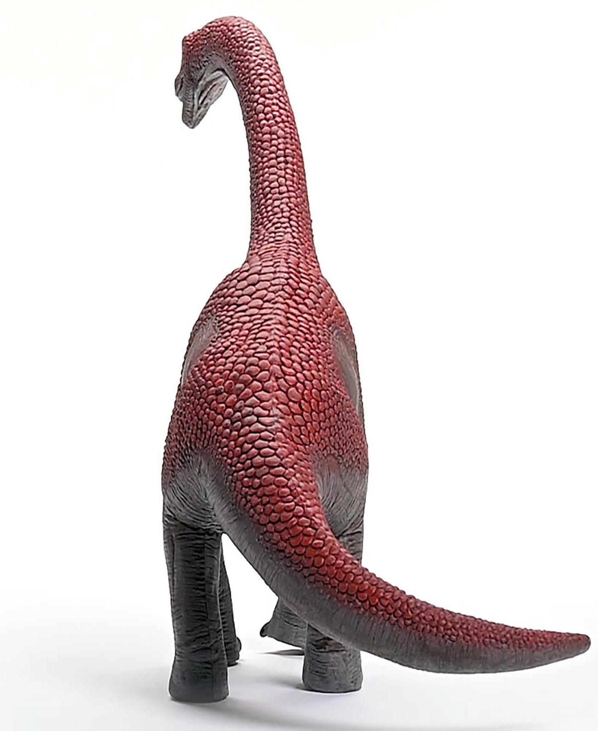 Schleich Dinosaurs Brachiosaurus Action Figure In Multi