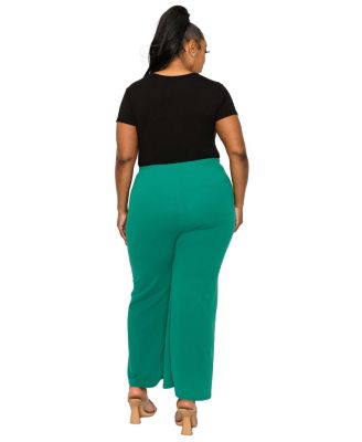 Plus Size Blake Pintuck Pants