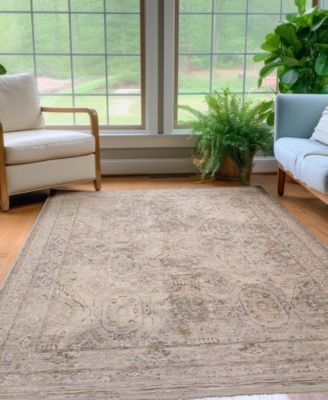 Cyprus CY6 5'x7'10 Area Rug