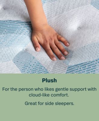 BeautySleep Dream Weaver 13.75" Plush Mattress Set - King