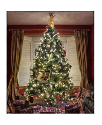 66 ft LED String Lights Battery Operated Starry Fair Rope Lights 8 Modes Remote Christmas