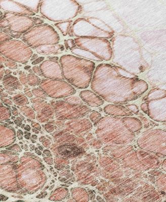 Chantille Machine Washable ACN707 Area Rug Collection