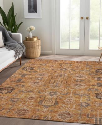 Chantille Machine Washable ACN697 8'x10' Area Rug