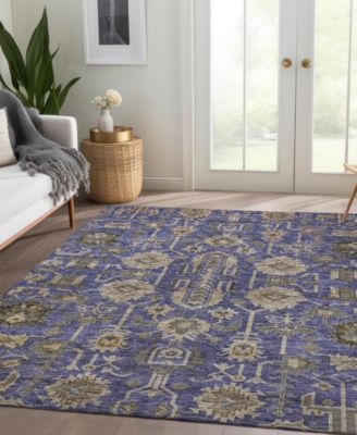 Chantille Machine Washable ACN697 5'x7'6" Area Rug