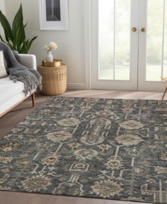 Chantille Machine Washable ACN697 8'x10' Area Rug