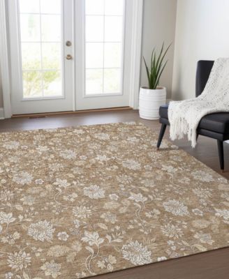 Chantille Machine Washable ACN681 8'x10' Area Rug