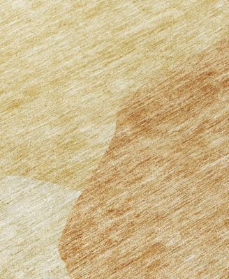 Chantille Machine Washable ACN665 2'6"x3'10" Area Rug