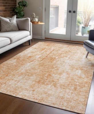 Chantille Machine Washable ACN656 2'6"x3'10" Area Rug