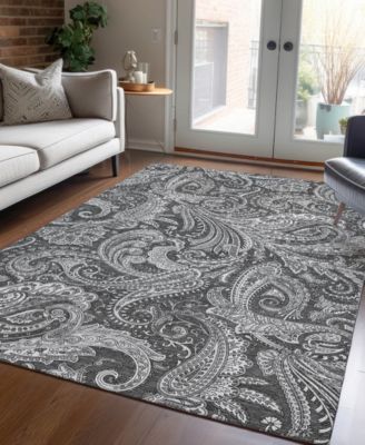 Chantille Machine Washable ACN654 8'x10' Area Rug