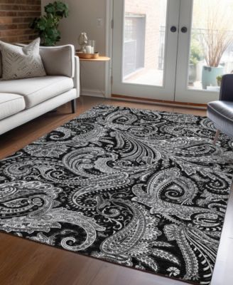 Chantille Machine Washable ACN654 2'6"x3'10" Area Rug