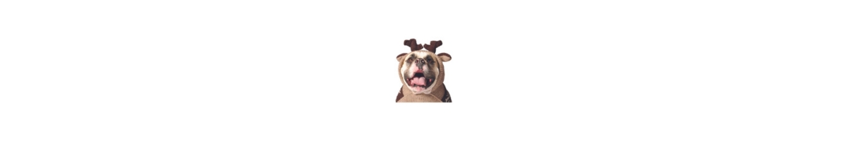 Chilly Dog L Moosey Hoodie Dog Sweater