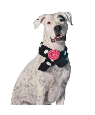 M Black Polka Dot Flower Dog Sweater