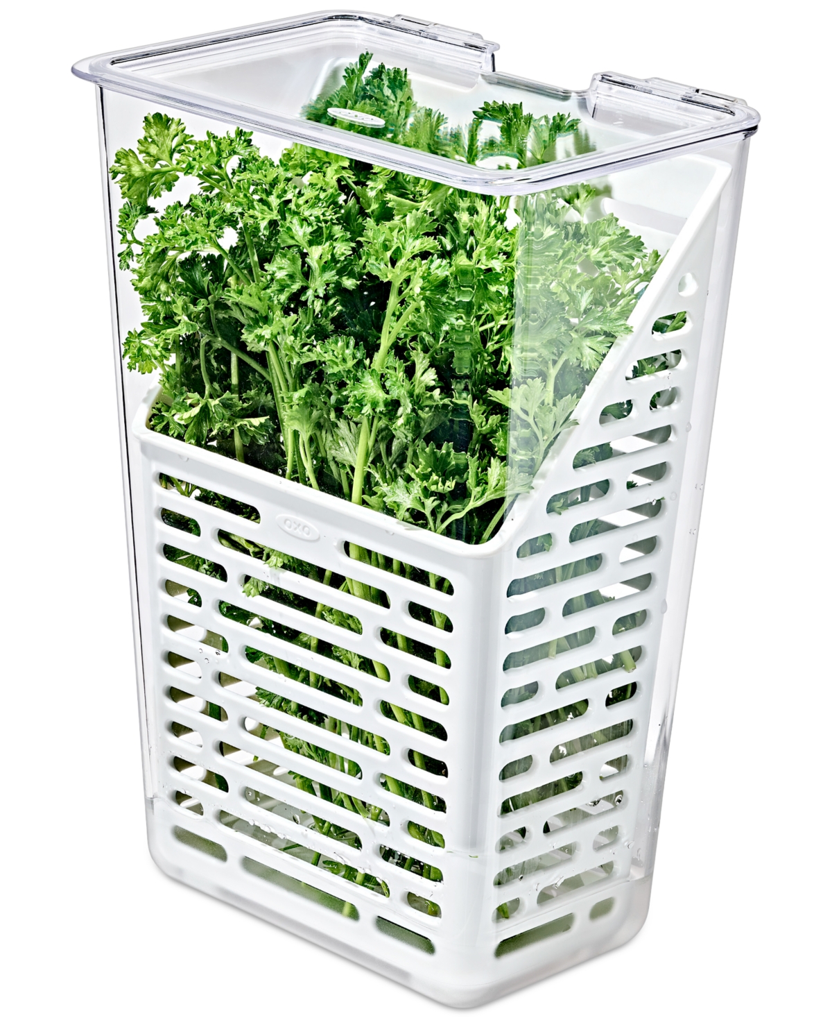Oxo Good Grips Produce Saver Herb Keeper In No Color
