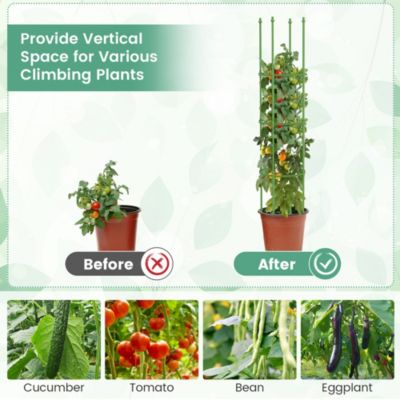 2-Pack Garden Trellis 56" Plant Support and Tomato Cages with Adjustable Height