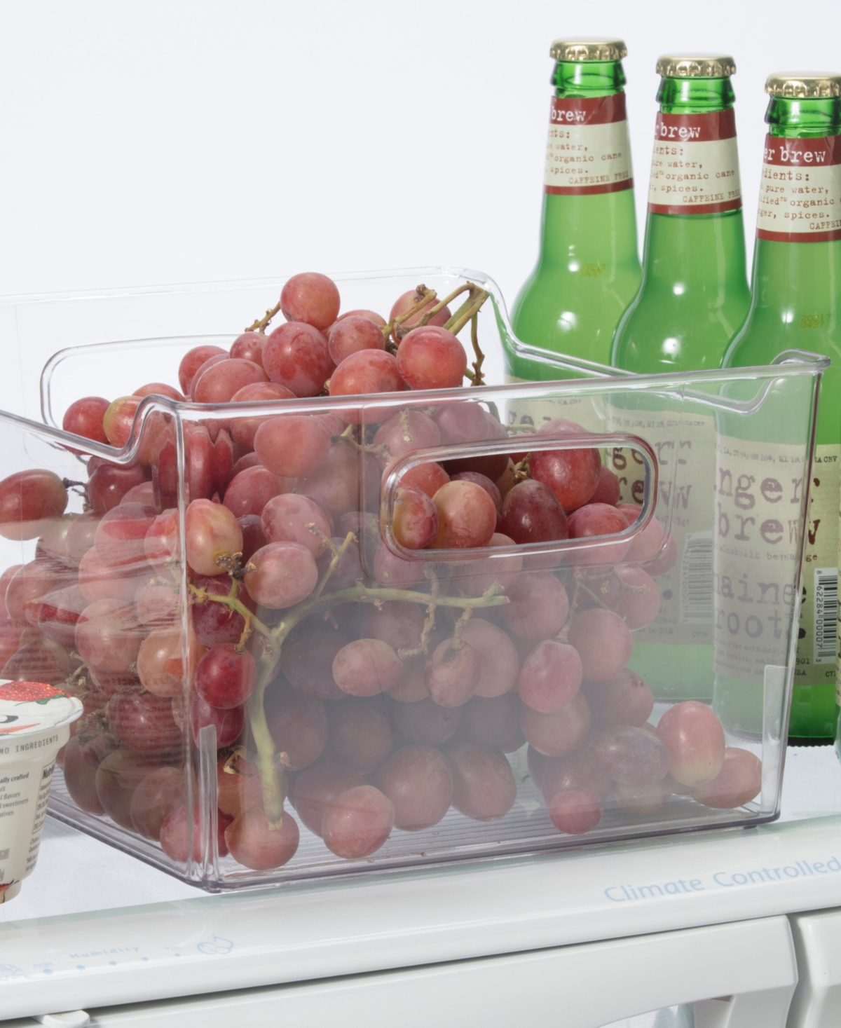 OGGI 9.75" X 9" X 6" STORAGE BIN WITH HANDLES 
