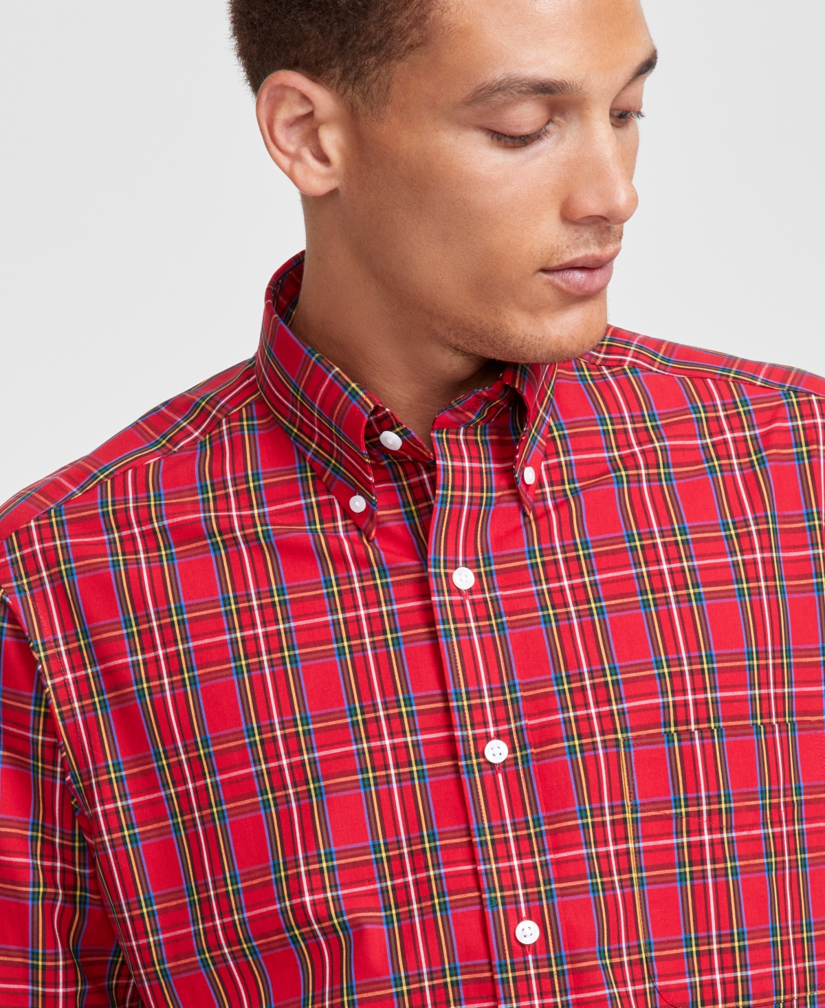 Club Room Men's Regular Fit Cotton Dress Shirt, Created for Macy's -black