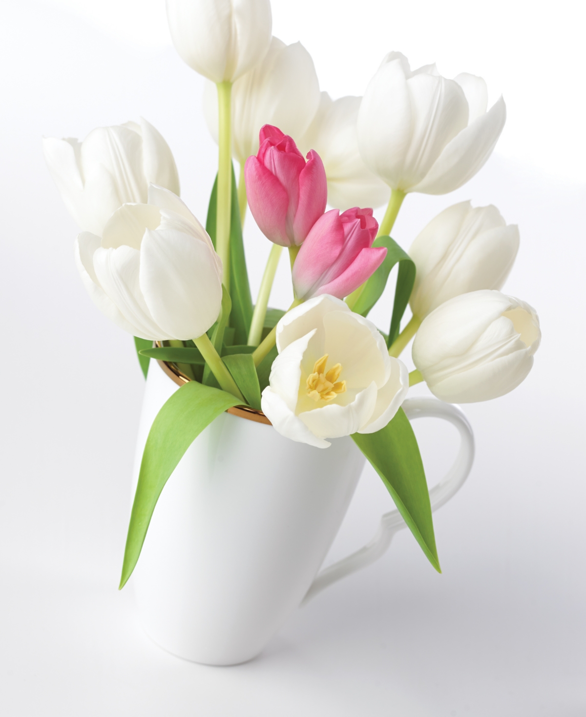 Lenox Contempo Luxe Mugs, Set Of 4 In White
