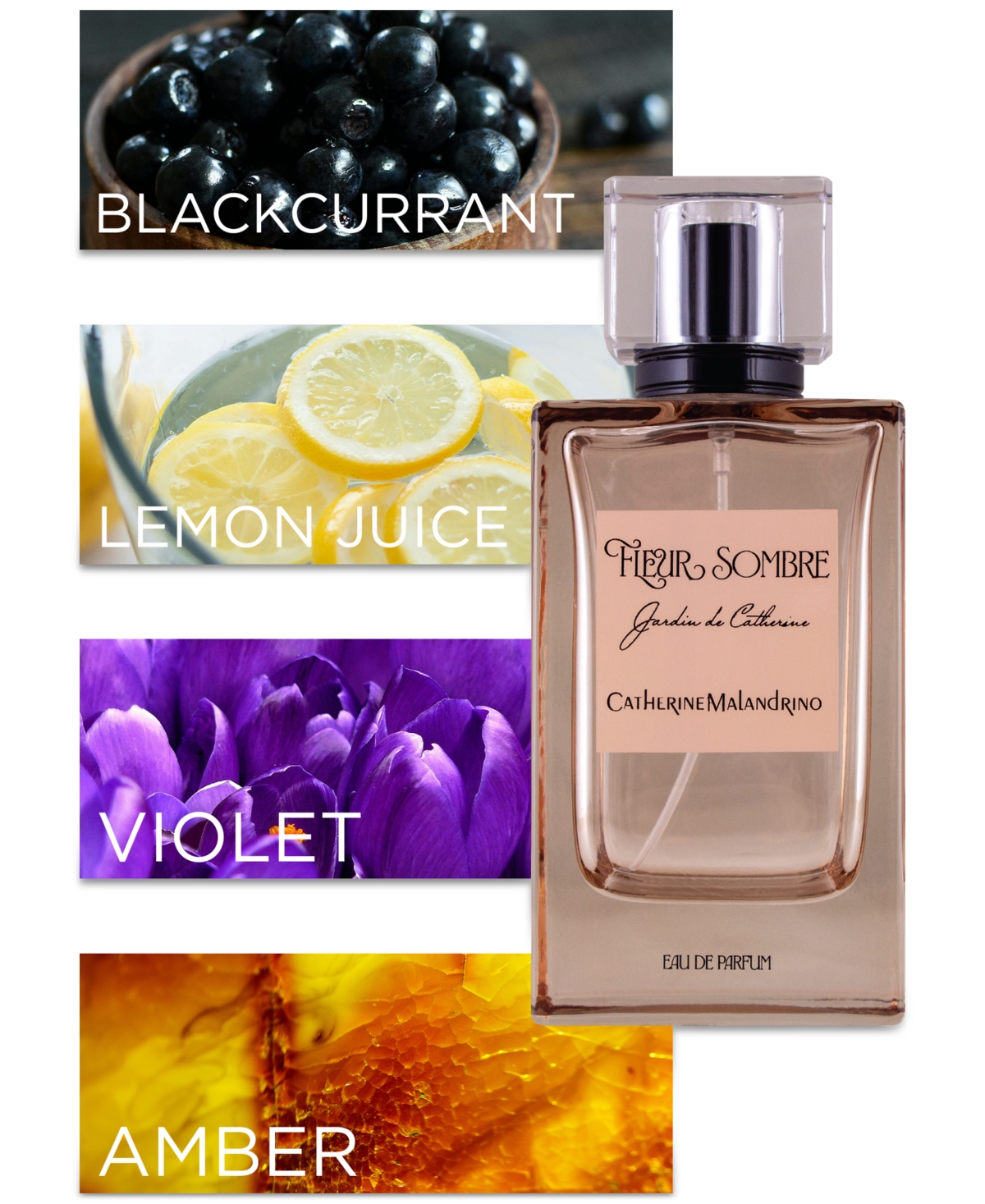 CATHERINE MALANDRINO 3-PC. FLEUR SOMBRE EAU DE PARFUM GIFT SET 