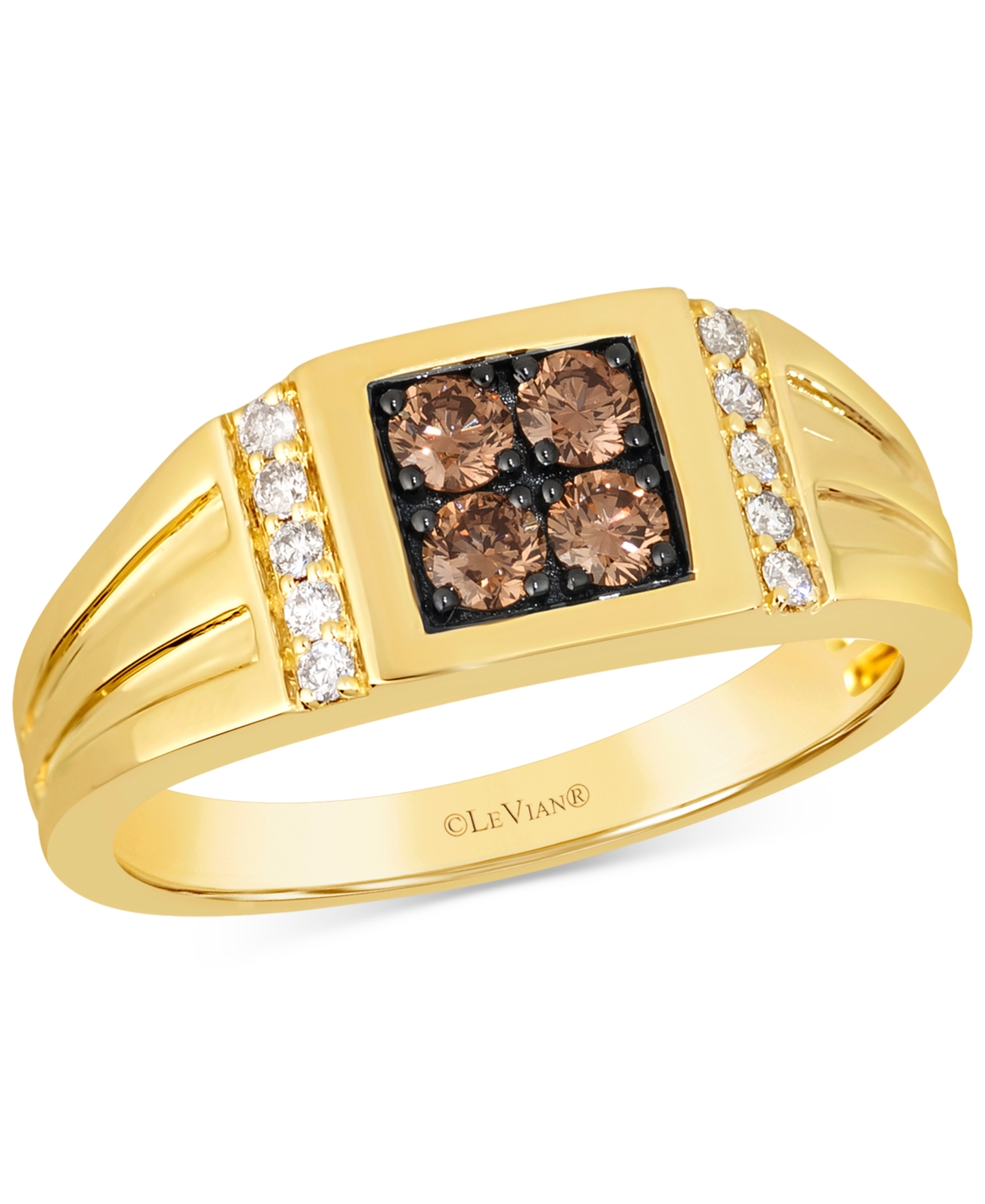 Men's Chocolate Diamond & Nude Diamond Ring (1/2 ct. t.w.) in 14k Gold