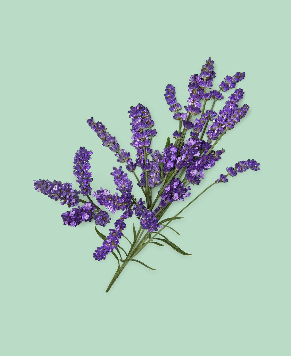 Gucci Men's 3-Pc. Guilty Pour Homme Essence Eau de Toilette Gift Set