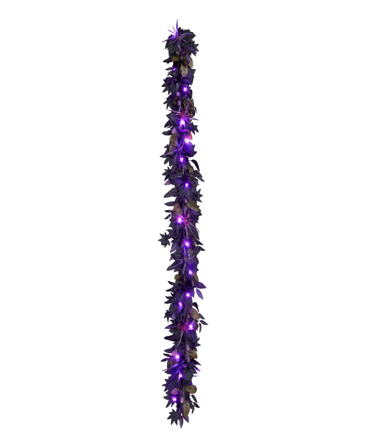 product_img5