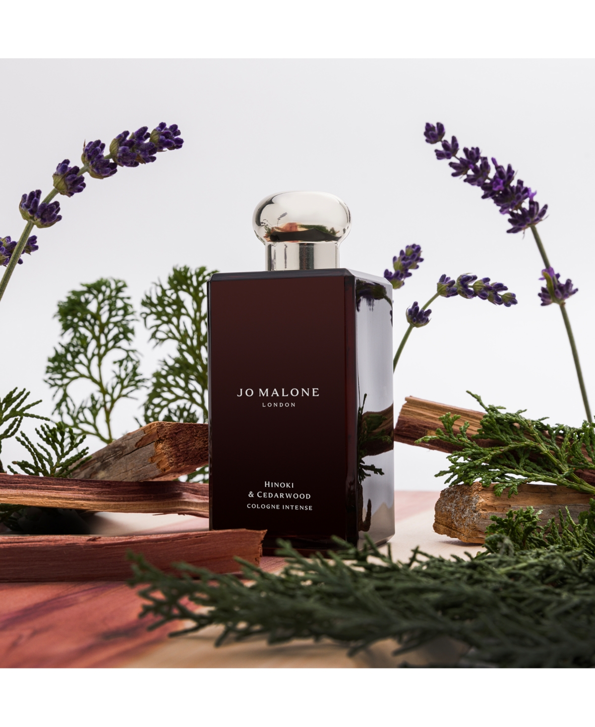 Jo Malone London Hinoki & Cedarwood Cologne Intense, 1.7 Oz. In No Color