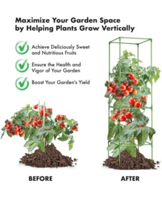 Tomato Plant Support Cages