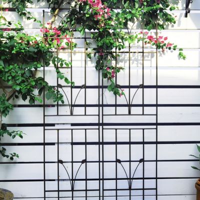 4 Pack 71" Rustproof Trellises for Climbing Plants