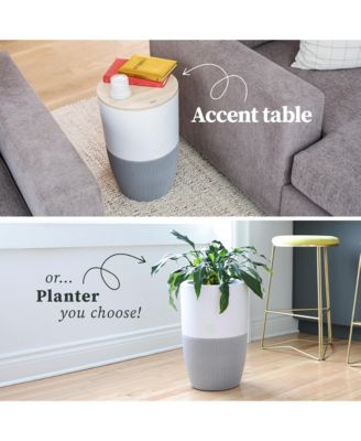 Bloom Air Purifier, Smart HEPA-13 Medical-Grade Filtration, Large Rooms (1,517 Sq. Ft.) with Oak Accent Table