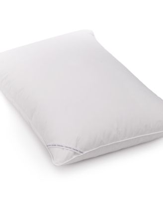 calvin klein pillows