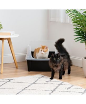 USA Extra Large Open Top Cat Litter Box with Scatter Shield, Sturdy Easy to Clean Open Air Kitty Litter Pan with Tall Spray, Black