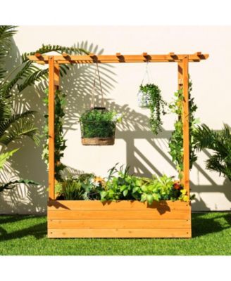 Raised Garden Bed with Trellis or Climbing Plant and Pot Hanging