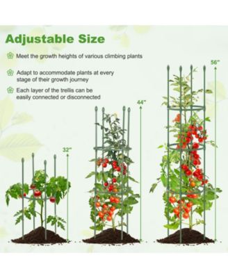2-Pack Garden Trellis Tomato Cage with Adjustable Height