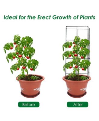 Garden Collection Trellis Set, 4-Pack