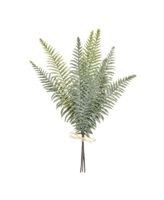 Fern Bundle for Natural and Elegant Holiday and Home Decor (Set of 2)