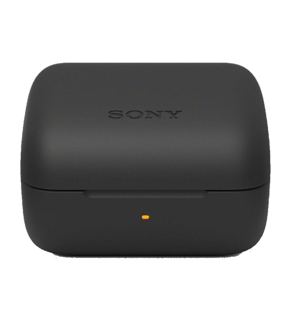 Sony Ult Field series Speaker - SRSULT10/B with Heavy Duty Carabiner bundle - Black