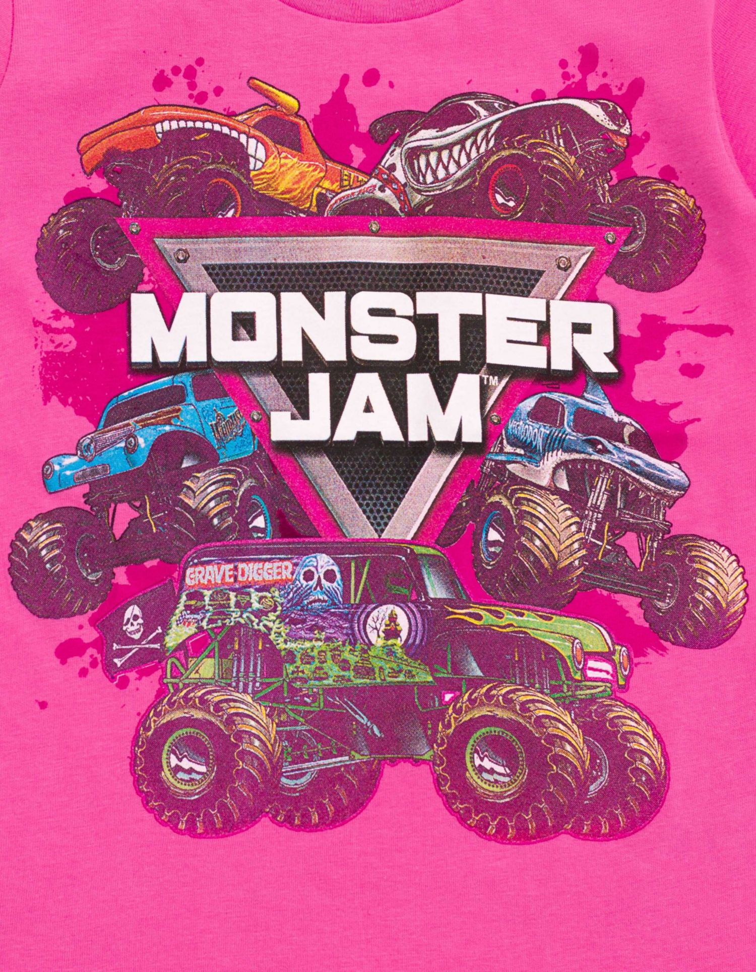 Toddler Girls 2T-5T 2-Pack Short Sleeve Graphic T-Shirts