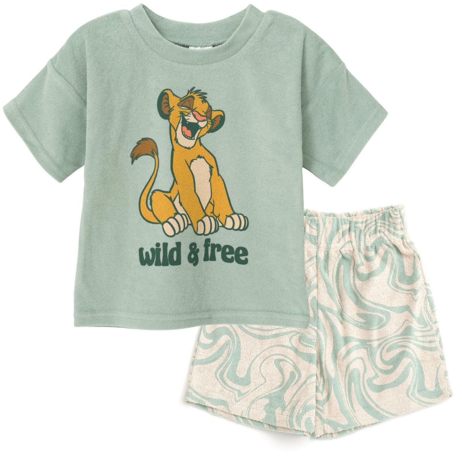 Little Boys T-Shirt and Shorts Outfit Set