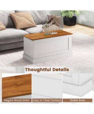 Large Storage Chest with Safety Metal Hinge-White