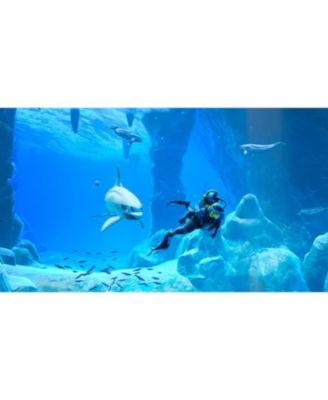 Endless Ocean Luminous