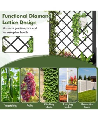 44-Inch Metal Raised Garden Bed with Trellis