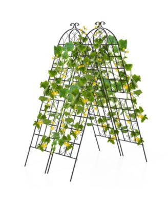 2 Pack Metal Garden Trellis Decorative for Climbing Plants