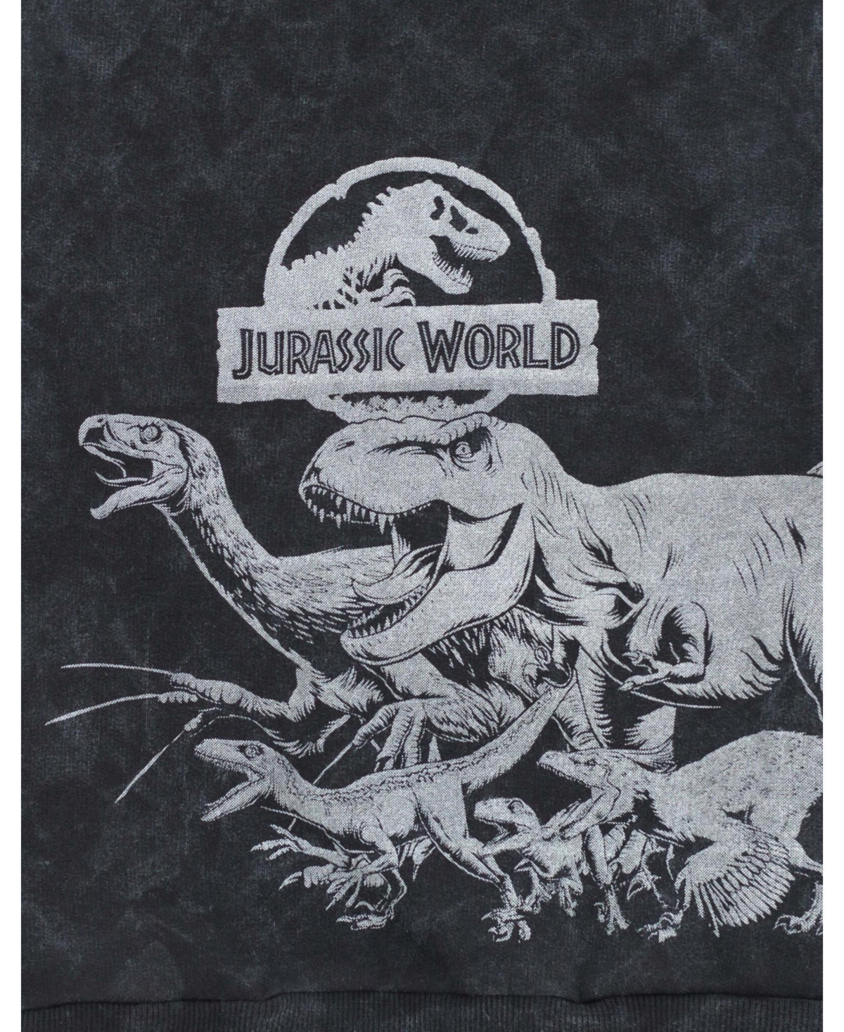 Jurassic World Boys Dinosaur T-Rex Fleece Pullover Hoodie to