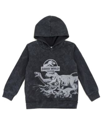 Boy's Dinosaur T-Rex Fleece Pullover Hoodie