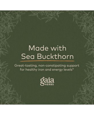 Plant Force Liquid Iron - Vegetarian Iron Supplement to Help Maintain Healthy Iron & Energy Levels - With Star Anise, Sea Buckthorn, Beet Root, Dandelion & Nettle - 8.5 Fl Oz (25 Servings)